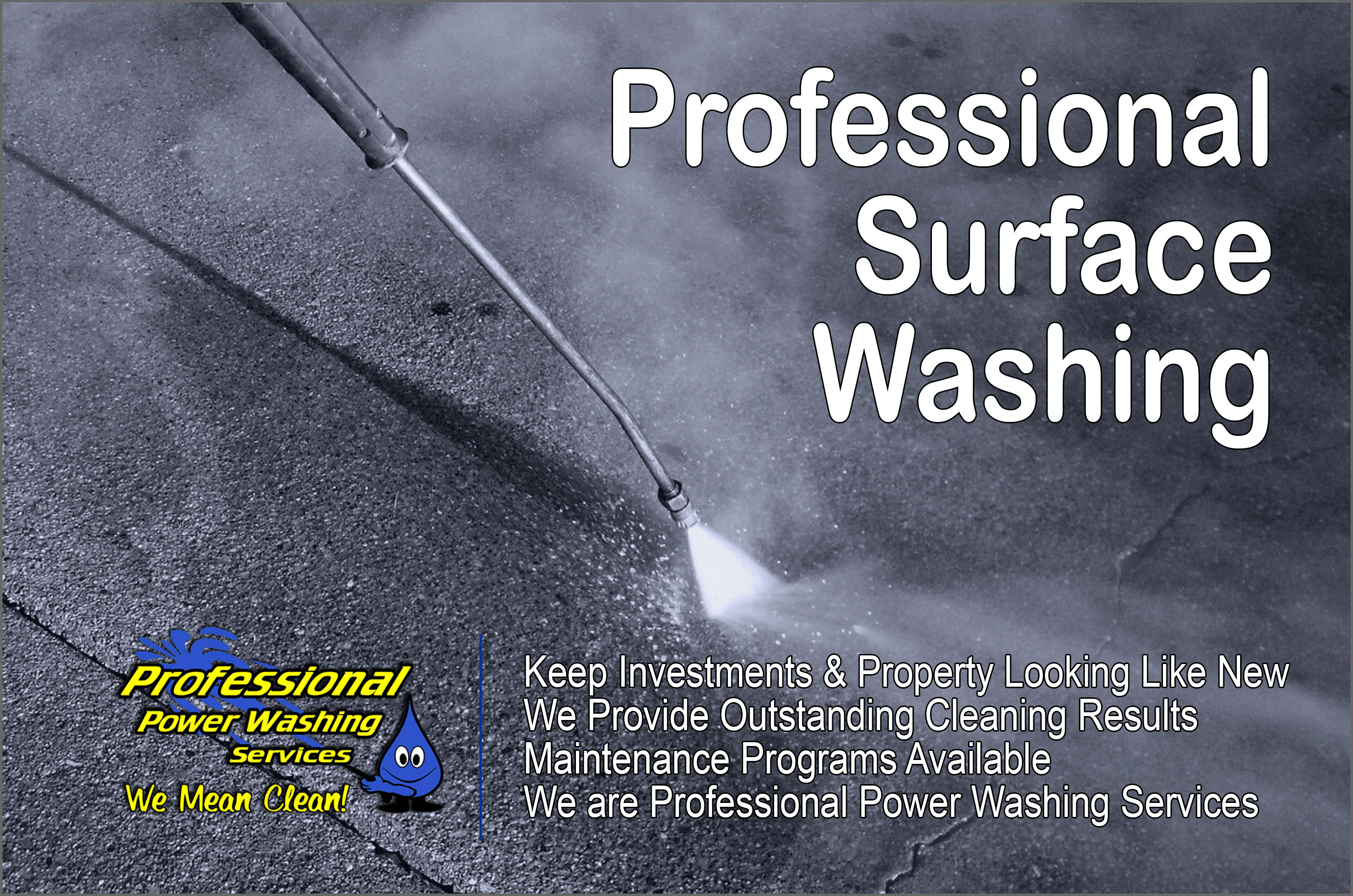Professional Washing and Cleaning